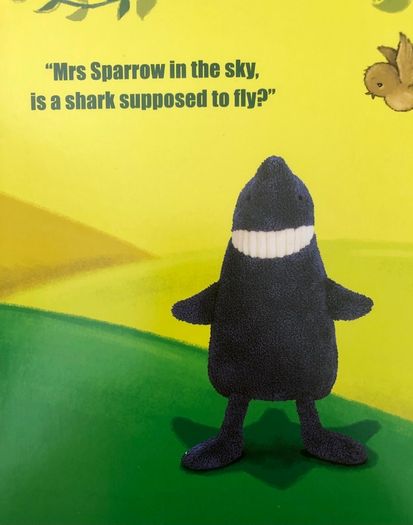 Children book