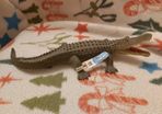 Alligator Vintage (N1606)
