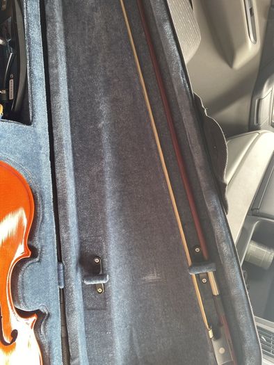 violin