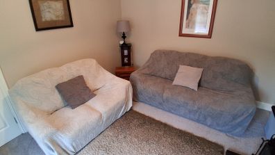 Free 2 & 3 seater sofas (with covers)