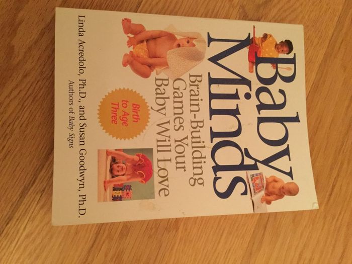Book....Baby Minds, Brain Building Games Your Baby Will Love