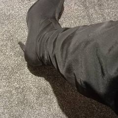 ladies boots