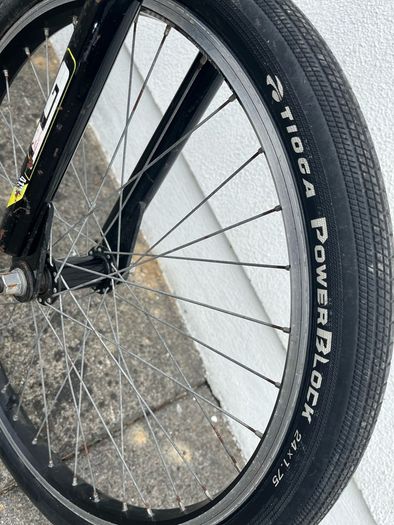 GT Pro series 24" BMX