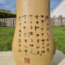 Old Chinese Color Enamel Porcelain Vase Image 4