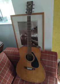 yamaha f310