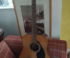 yamaha f310