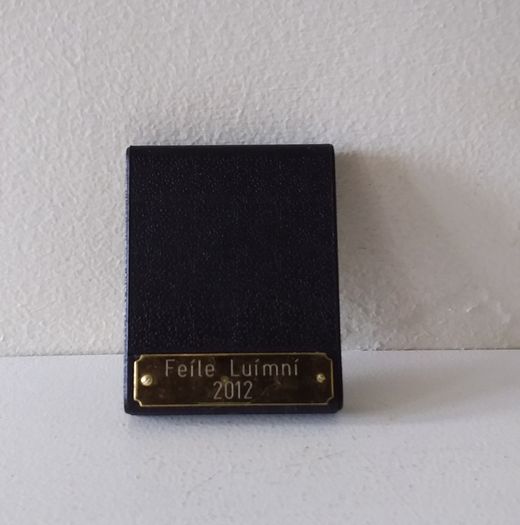 Feile Luimni  2012 - Gold ( Coloured ) Winners Medal
