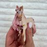 Schleich Decorated Unicorn Mare Bayala Fantasy Used Please see pictures Image 3