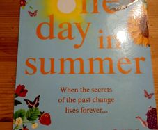 One Day in Summer  Shari Low