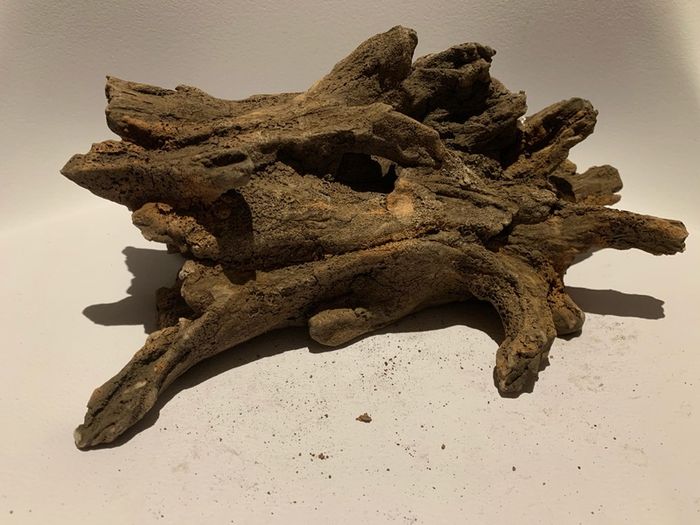 Hiding Clay cave like wood for pleco / cichlid