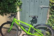 Frog hybrid bike