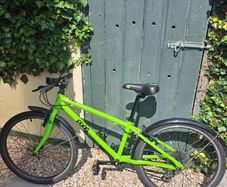 Frog hybrid bike