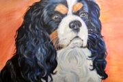 Pet portraits in Oils