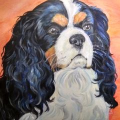 Pet portraits in Oils