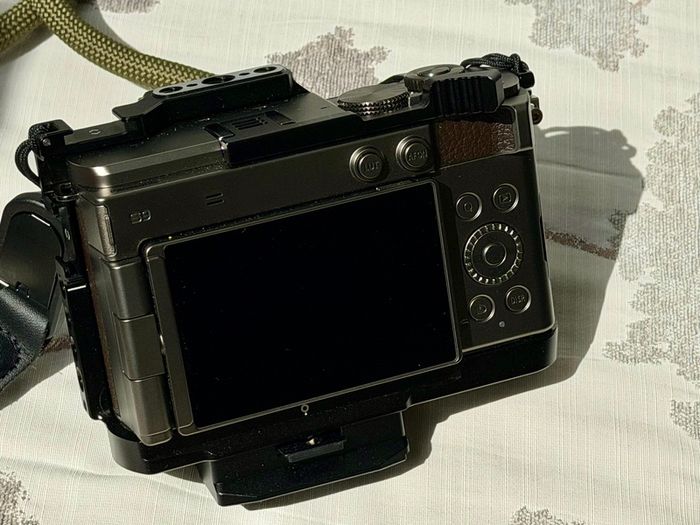 Panasonic Lumix S9 (Titanium Gold Edition)