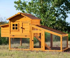 Chicken Coop hen house