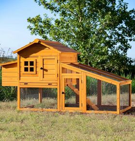 Chicken Coop hen house