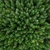 Treetip