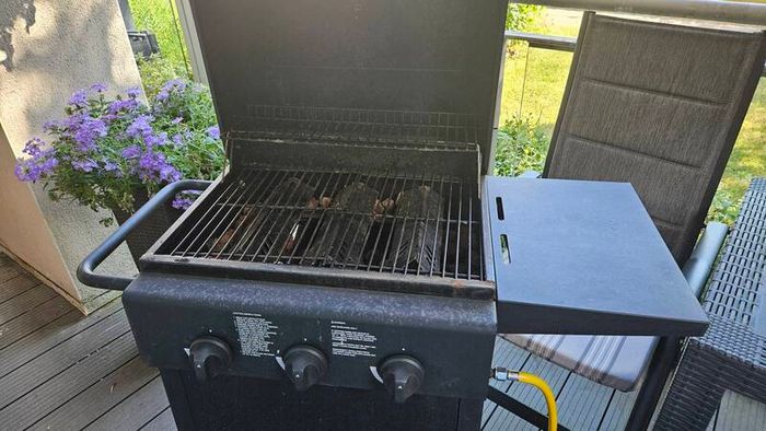 Free Bbq 3 Burner Gas