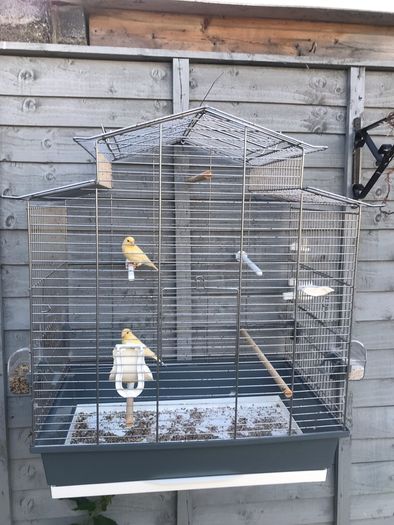 cage