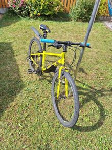Giant ARX 24ins kids bike