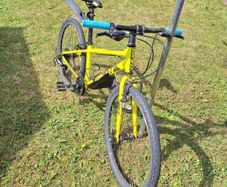 Giant ARX 24ins kids bike