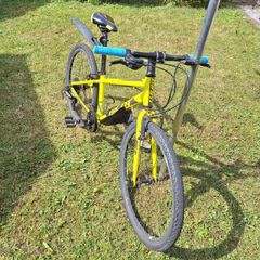 Giant ARX 24ins kids bike