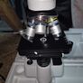 BRESSER Erudit DLX 40-600x Microscope Image 4