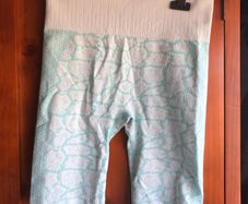 Aqua workout shorts