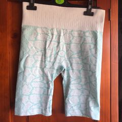 Aqua workout shorts