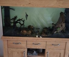 Aquarium/ Fish Tank Aqua One oakstyle complete setup Price Drop