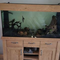 Aquarium/ Fish Tank Aqua One oakstyle complete setup Price Drop