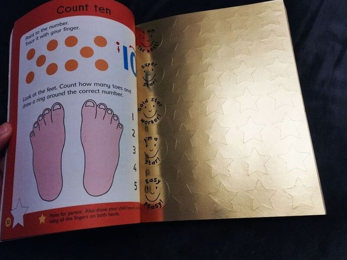 My Big Book of Maths and English |Gold Stars