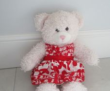 Buildabear and Outfit