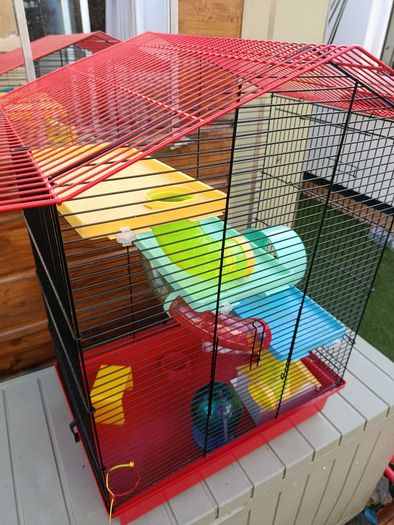 Hamster cage