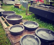 Bowls with fish carving