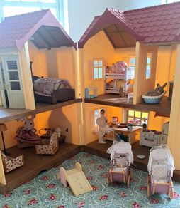 Sylvanian Bundle