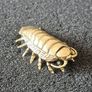 3 brass Insects, Solid brass. Image 8
