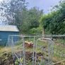 chicken run/ dog run Image 2
