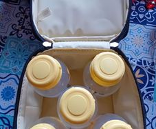 Medela Cooler Bag