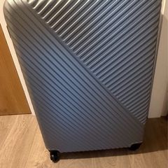 Large suitcase