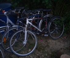 bikes