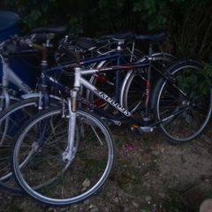 bikes