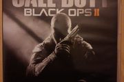 Call of Duty Black Ops 2 (PS3)