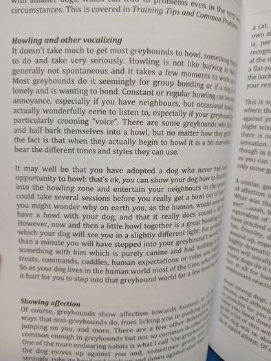 Understanding Greyhounds - Mary Fox