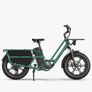 FIIDO T2 Longtail Cargo Electric Bike Image 2