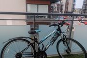 Ignite Summit Bike