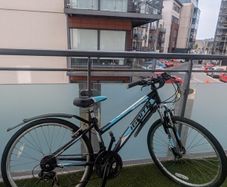 Ignite Summit Bike