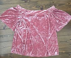 River Island pink velvet off the shoulder top size 10 brand new with tags