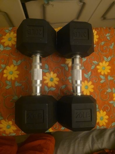 dumbbells 10kg each x 2
